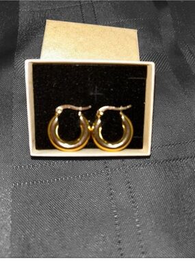 Classic Gold Hoop Earrings - Timeless Women's Jewelry